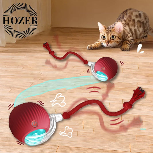 Cat Interactive Ball Toy - Automatic Rolling Ball with Faux Tail, Rechargeable Smart Pet Electric Toy for Dog & Cat Training, Imitates Mouse Movement
