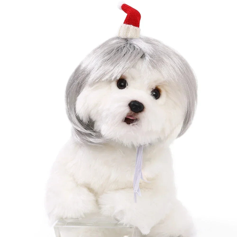 Pet Wig – Curly & Straight Hair Costume Accessory for Dogs & Cats, DIY Trimmed
