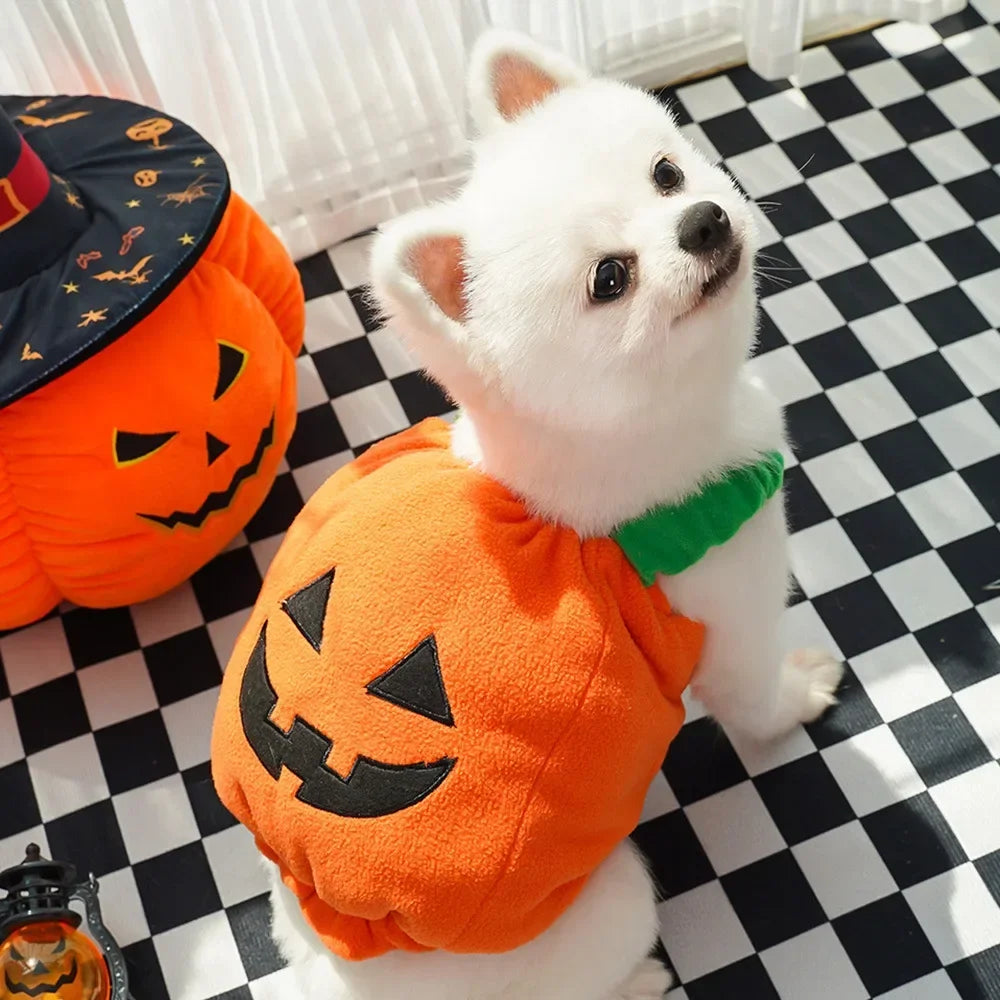 🎃 Halloween Dog Costume – Funny Pumpkin Lantern Outfit with Hat | Cute Two-Legged Pet Jacket for Dogs & Cats