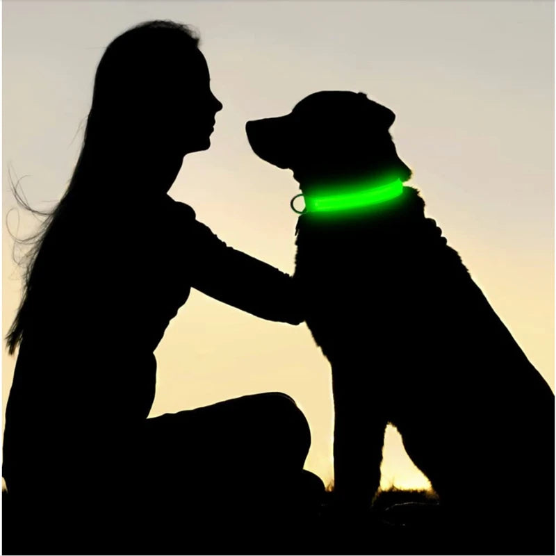 LED Glowing Dog Collar – Adjustable Rechargeable Flashing Luminous Night Safety Collar for Small Dogs