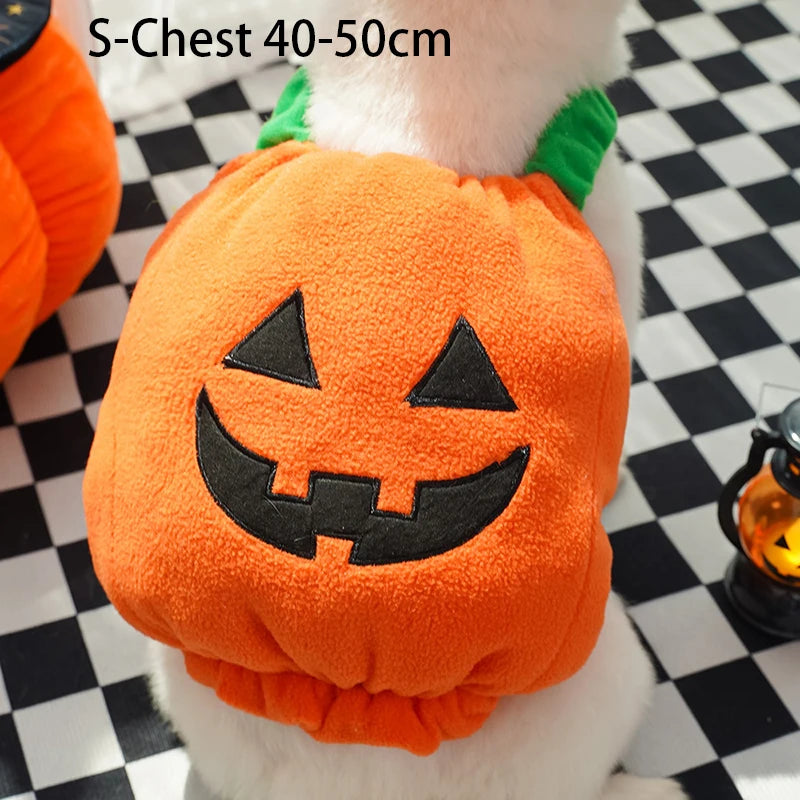 🎃 Halloween Dog Costume – Funny Pumpkin Lantern Outfit with Hat | Cute Two-Legged Pet Jacket for Dogs & Cats