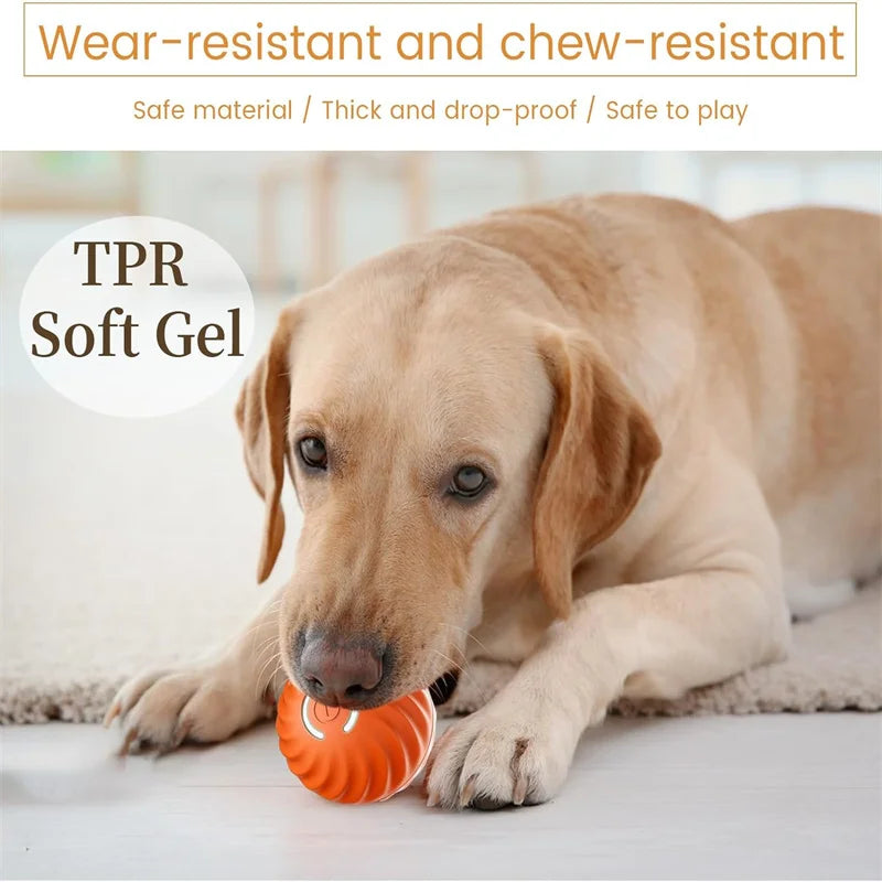 USB Rechargeable Interactive Pet Ball, Automatic Moving Toy for Puppies, Dogs, and Cats