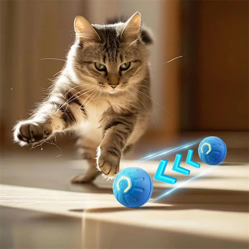 USB Rechargeable Interactive Pet Ball, Automatic Moving Toy for Puppies, Dogs, and Cats