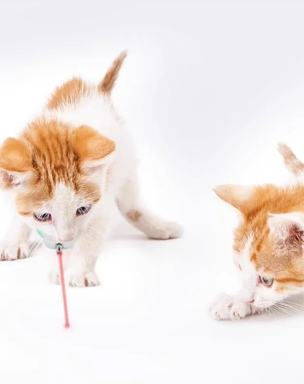 Smart Laser Tease Cat Collar – USB Rechargeable, Automatic Interactive Toy for Kittens & Cats
