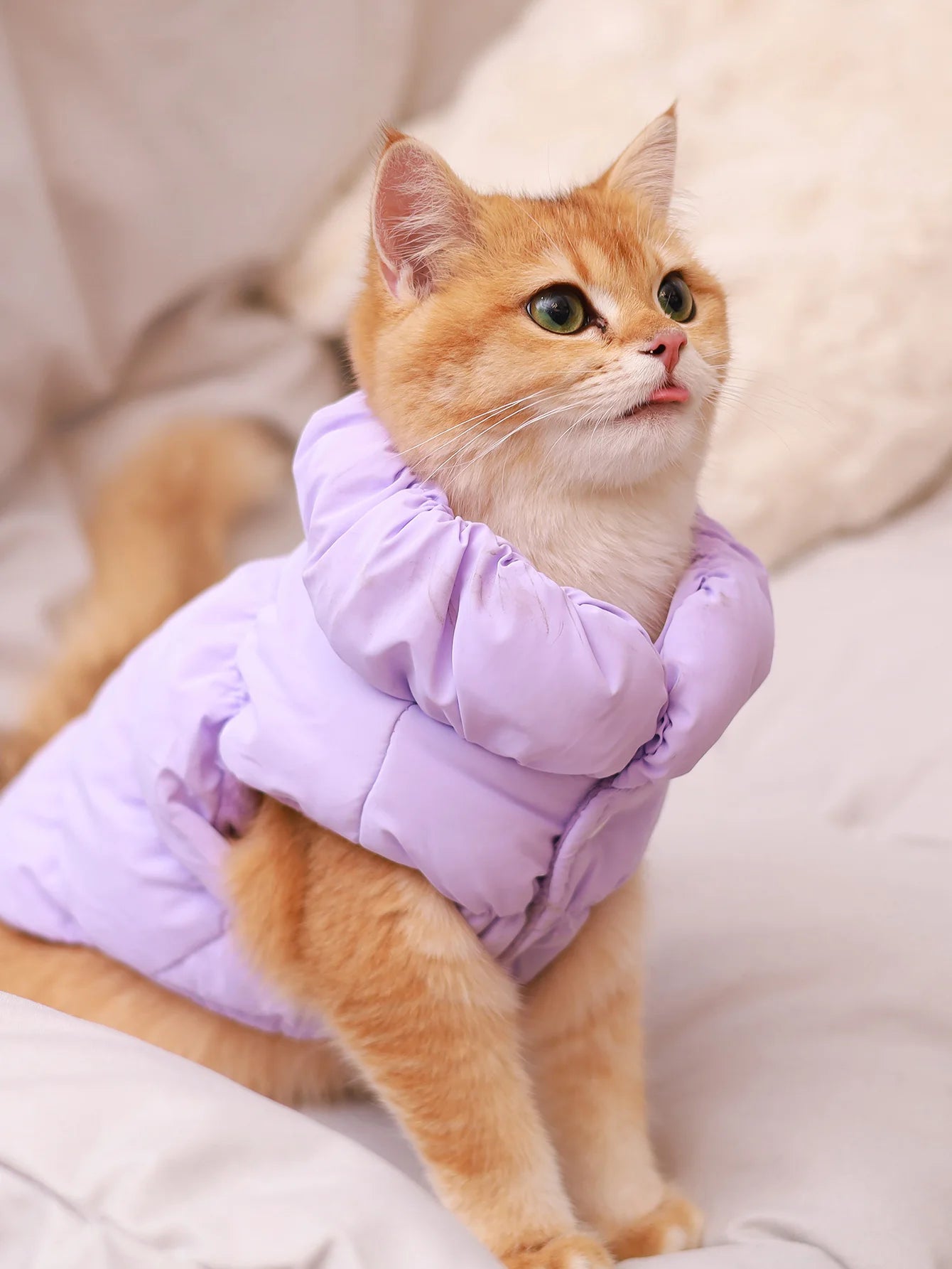Warm Pet Dog Jacket – 3-Layer Thick Coat for Small to Medium Dogs, Autumn/Winter Outerwear