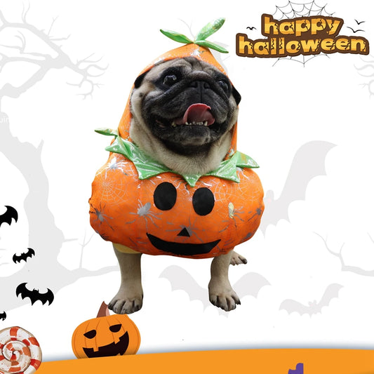 Funny Halloween Pumpkin Costume for Dogs – Cute Pet Cosplay Outfit for Special Events