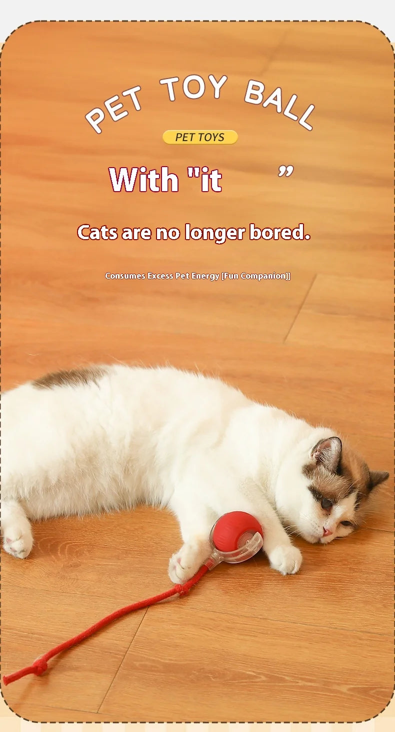 Cat Interactive Ball Toy - Automatic Rolling Ball with Faux Tail, Rechargeable Smart Pet Electric Toy for Dog & Cat Training, Imitates Mouse Movement