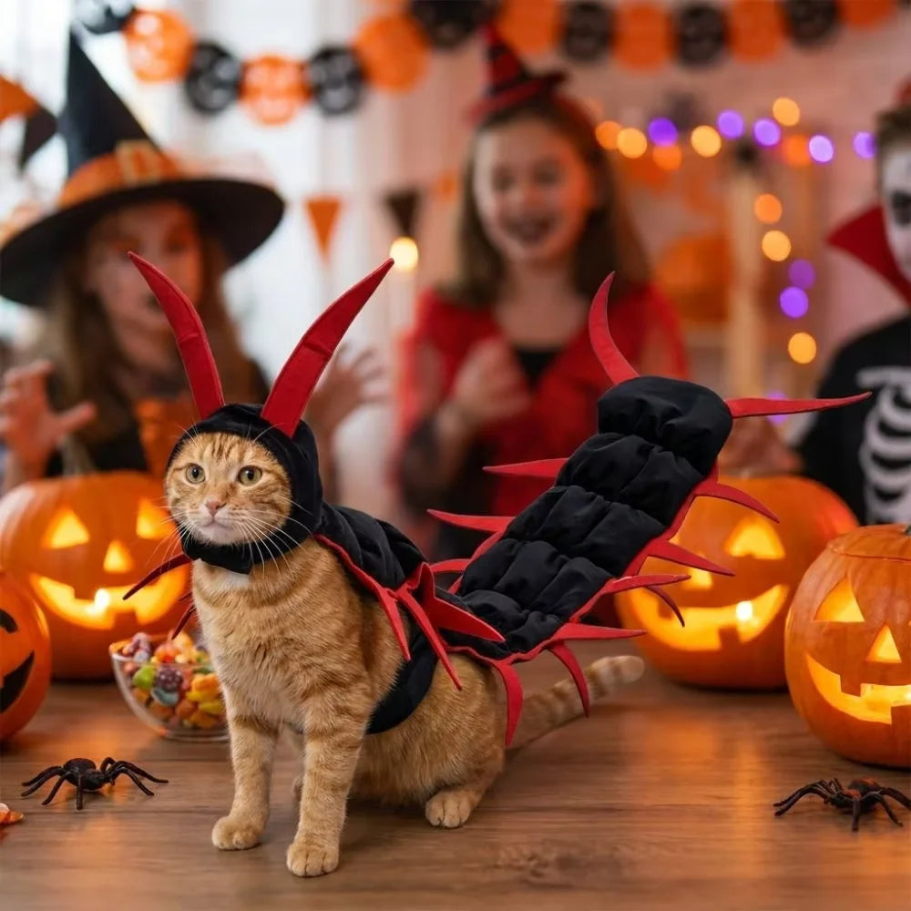 Centipede Cat Costume for Halloween