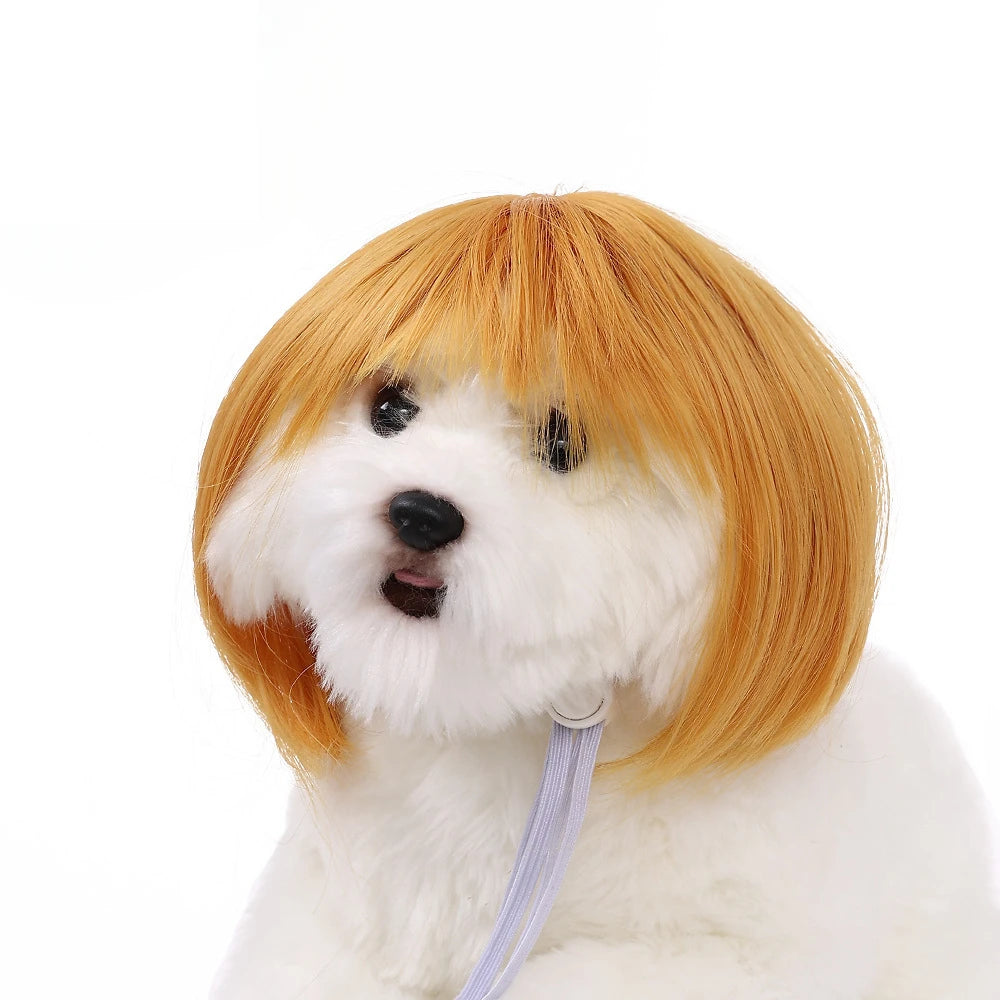 Pet Wig – Curly & Straight Hair Costume Accessory for Dogs & Cats, DIY Trimmed