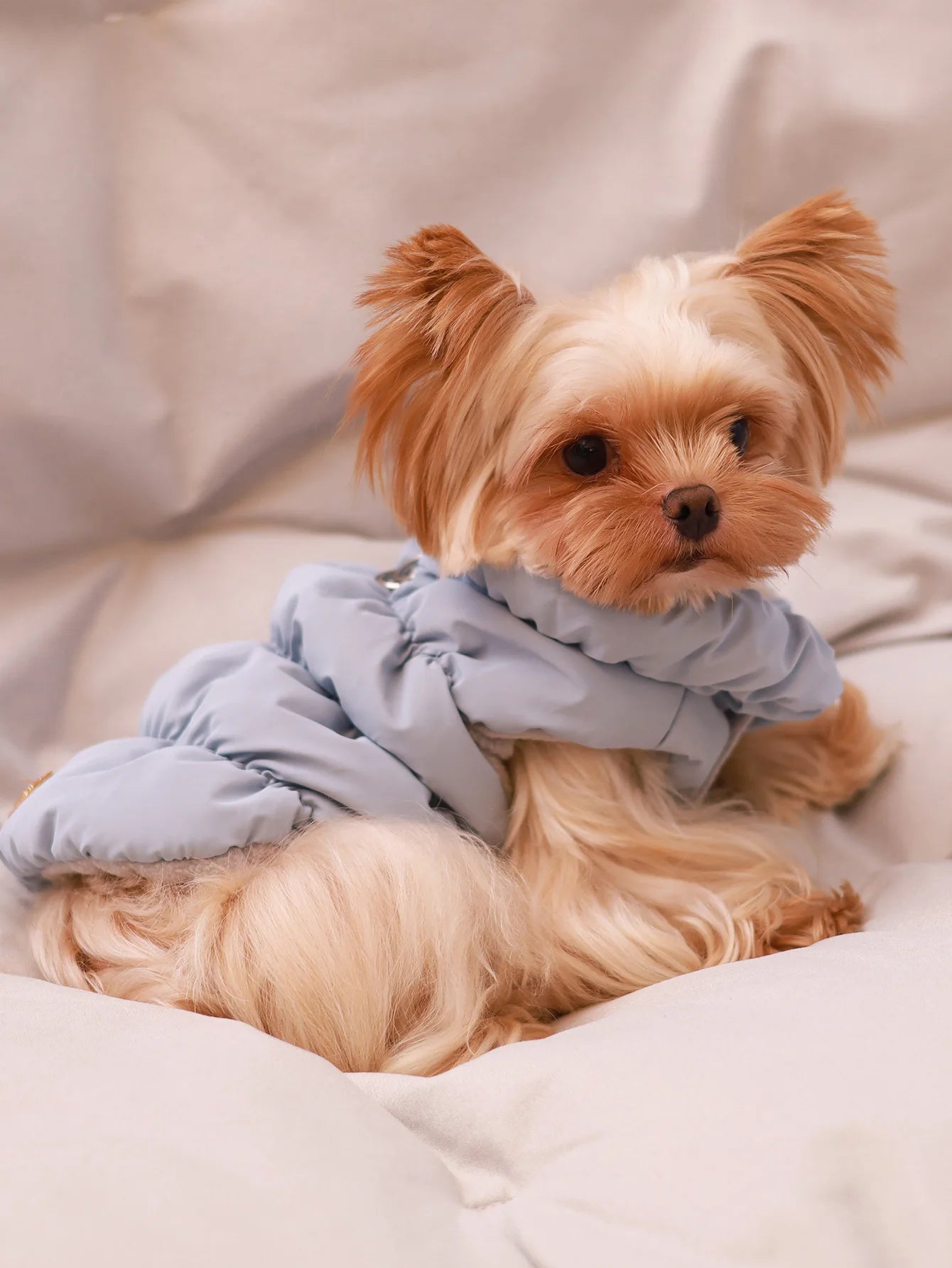 Warm Pet Dog Jacket – 3-Layer Thick Coat for Small to Medium Dogs, Autumn/Winter Outerwear