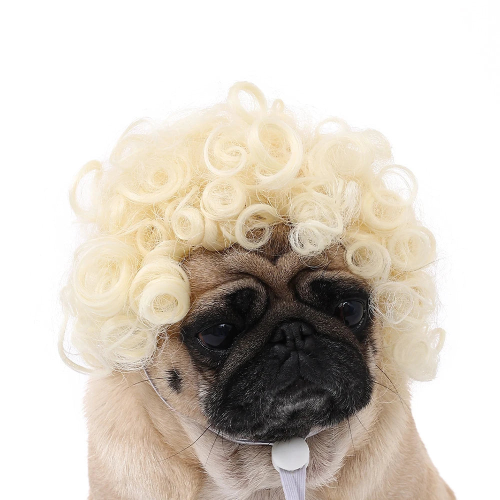 Pet Wig – Curly & Straight Hair Costume Accessory for Dogs & Cats, DIY Trimmed