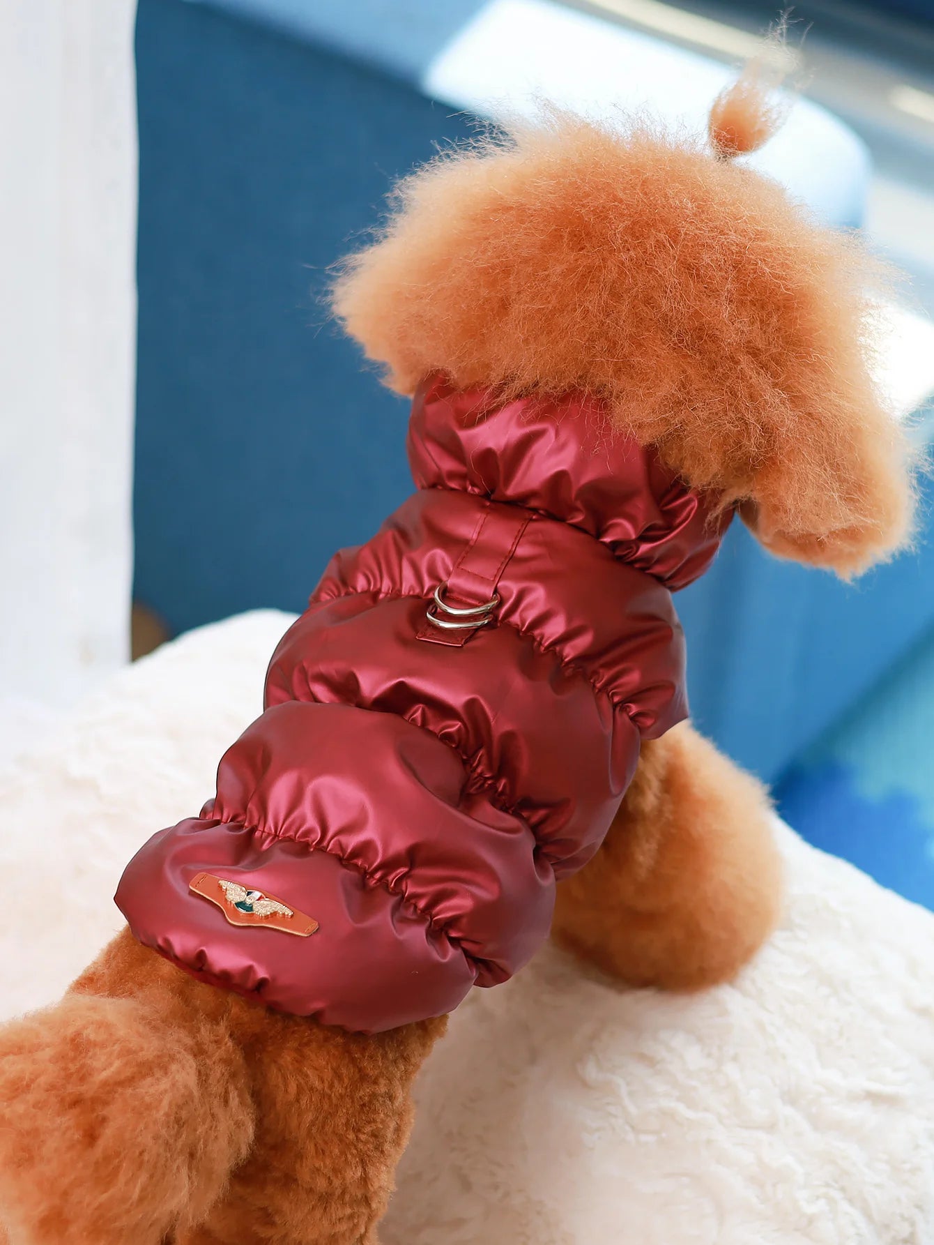 Warm Pet Dog Jacket – 3-Layer Thick Coat for Small to Medium Dogs, Autumn/Winter Outerwear
