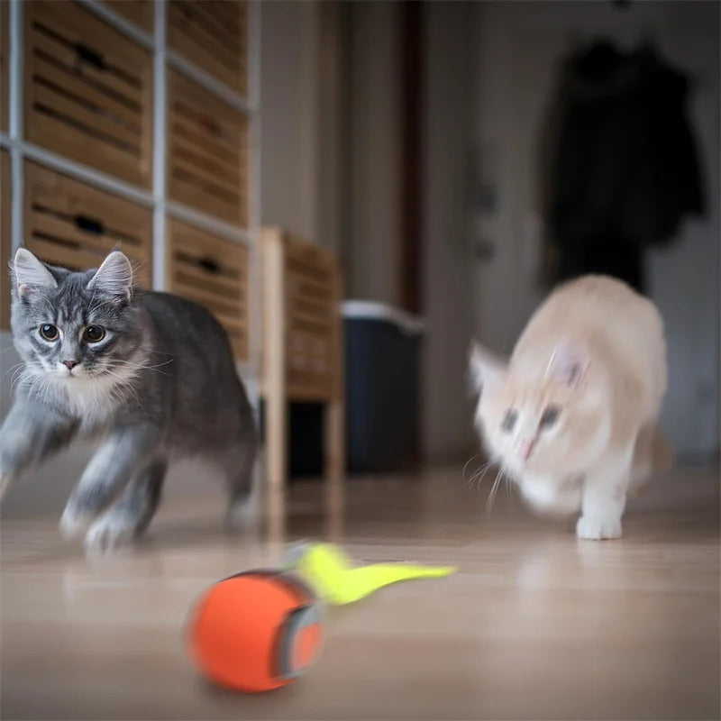 Smart Interactive Pet Toy Ball for Cats & Dogs, USB Rechargeable Automatic Rolling & Bouncing Ball