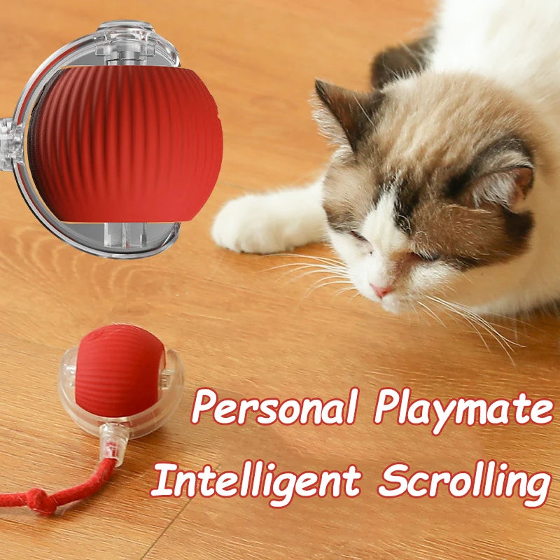Cat Interactive Ball Toy - Automatic Rolling Ball with Faux Tail, Rechargeable Smart Pet Electric Toy for Dog & Cat Training, Imitates Mouse Movement
