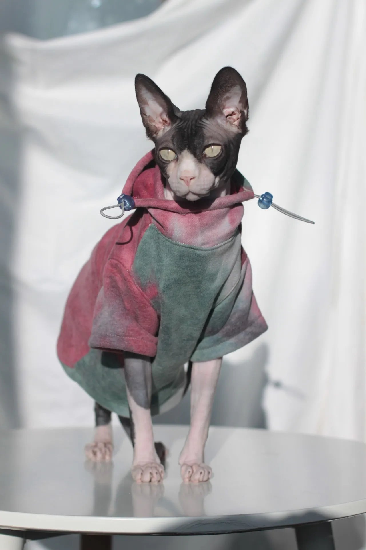 Fleece-Lined Cat & Small Dog Hoodie — Warm Autumn Winter Pet Jacket