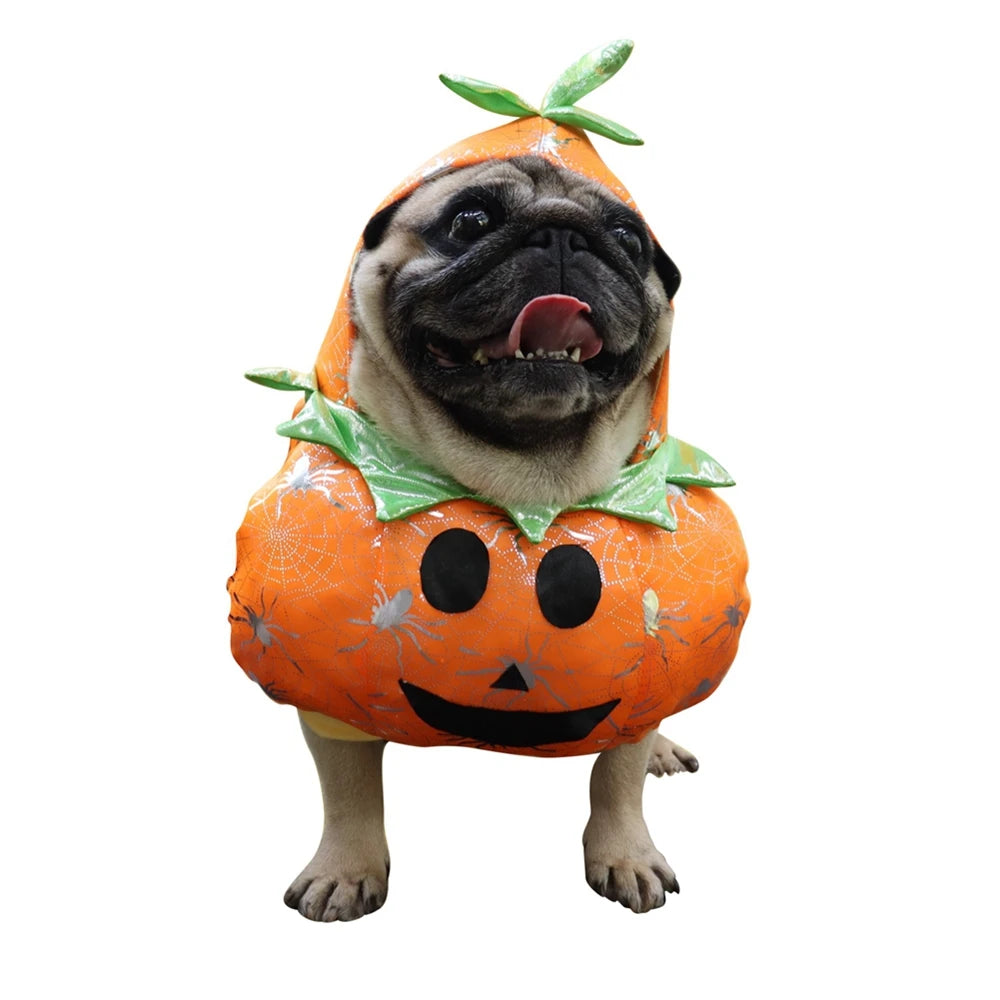 Funny Halloween Pumpkin Costume for Dogs – Cute Pet Cosplay Outfit for Special Events