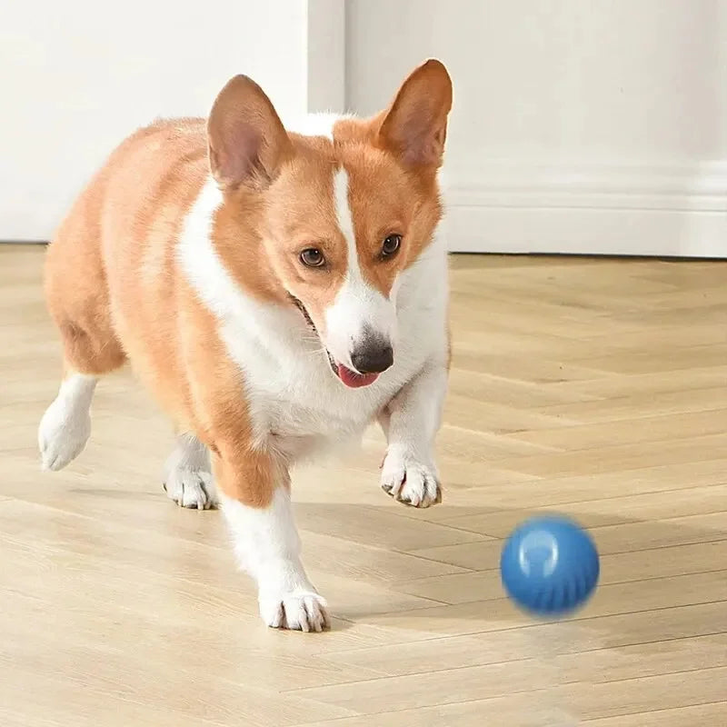 USB Rechargeable Interactive Pet Ball, Automatic Moving Toy for Puppies, Dogs, and Cats