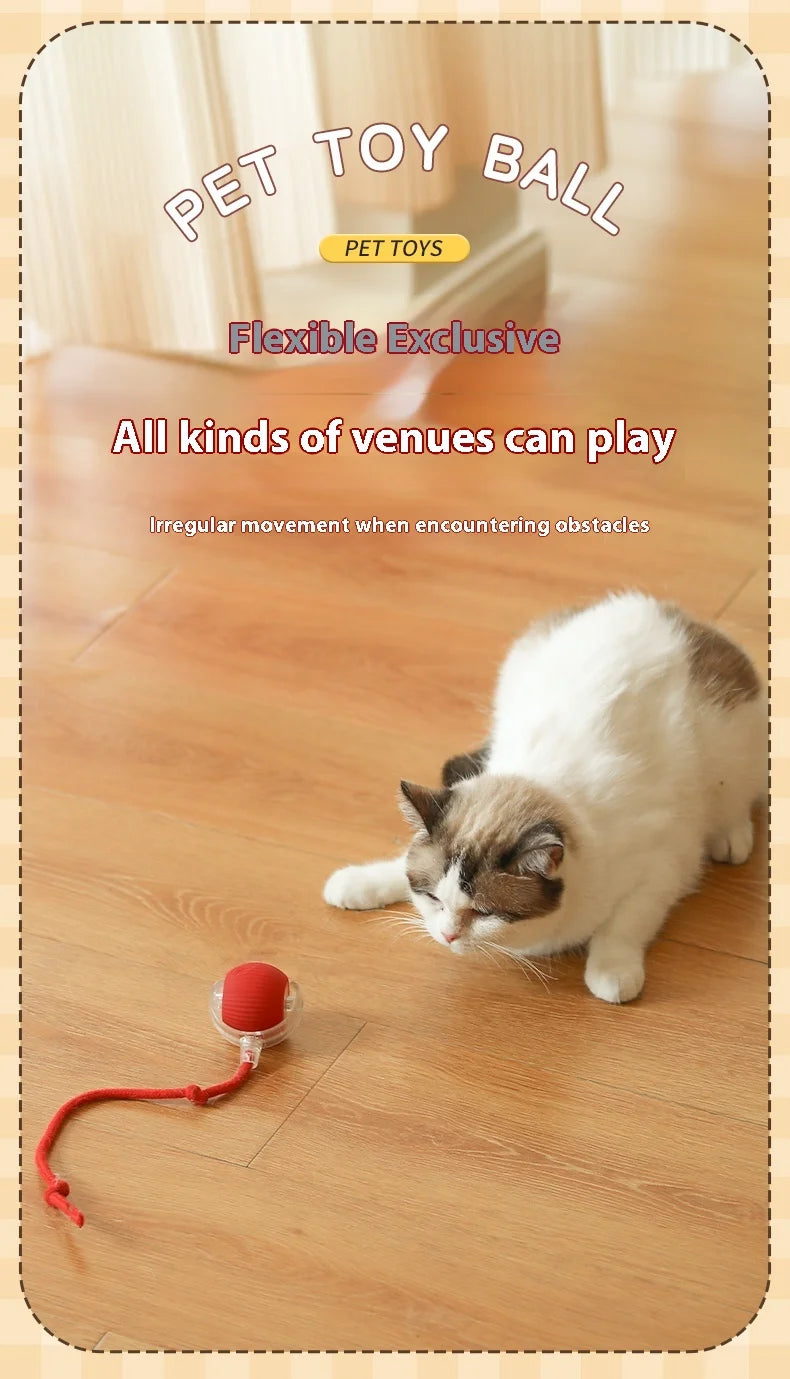 Cat Interactive Ball Toy - Automatic Rolling Ball with Faux Tail, Rechargeable Smart Pet Electric Toy for Dog & Cat Training, Imitates Mouse Movement