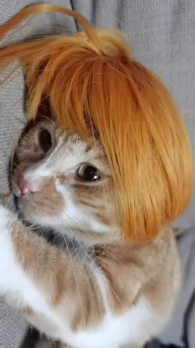 Pet Wig – Curly & Straight Hair Costume Accessory for Dogs & Cats, DIY Trimmed