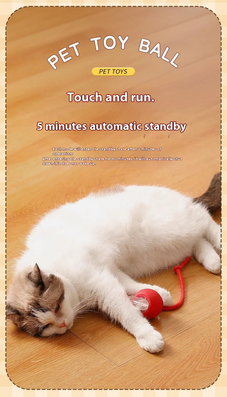 Cat Interactive Ball Toy - Automatic Rolling Ball with Faux Tail, Rechargeable Smart Pet Electric Toy for Dog & Cat Training, Imitates Mouse Movement