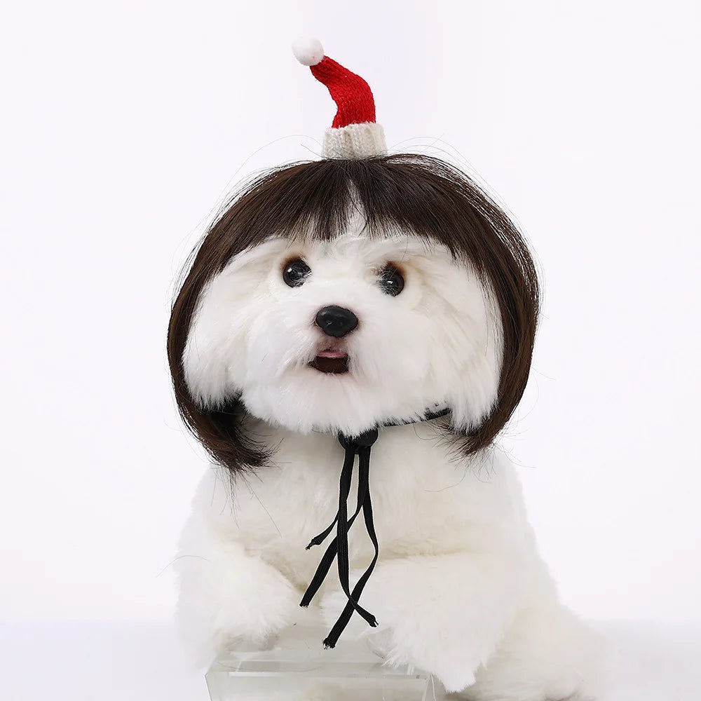 Pet Wig – Curly & Straight Hair Costume Accessory for Dogs & Cats, DIY Trimmed