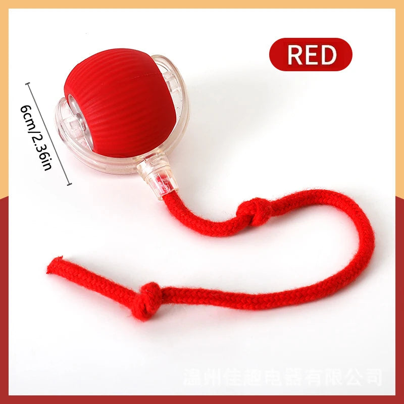 USB Rechargeable Interactive Pet Ball, Automatic Moving Toy for Puppies, Dogs, and Cats