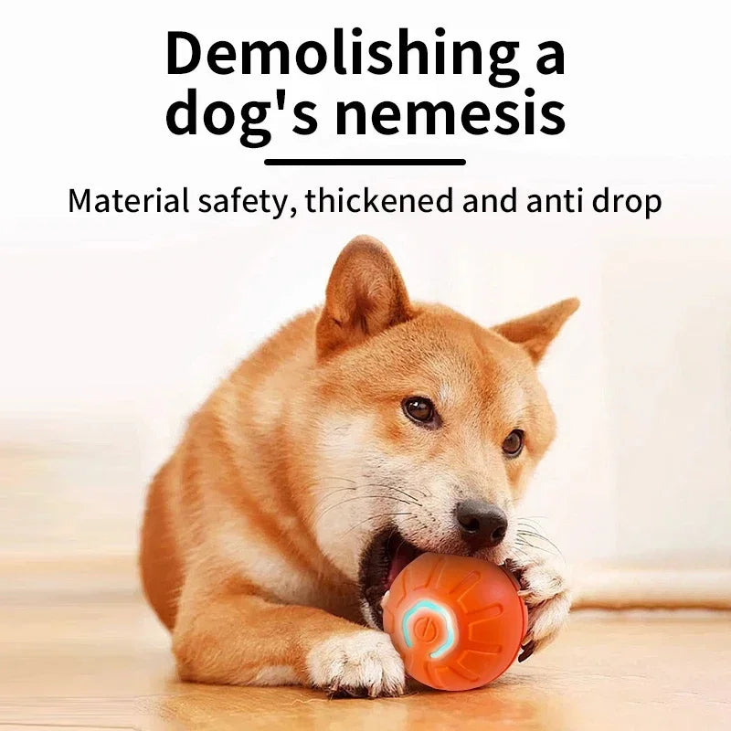 USB Rechargeable Interactive Pet Ball, Automatic Moving Toy for Puppies, Dogs, and Cats
