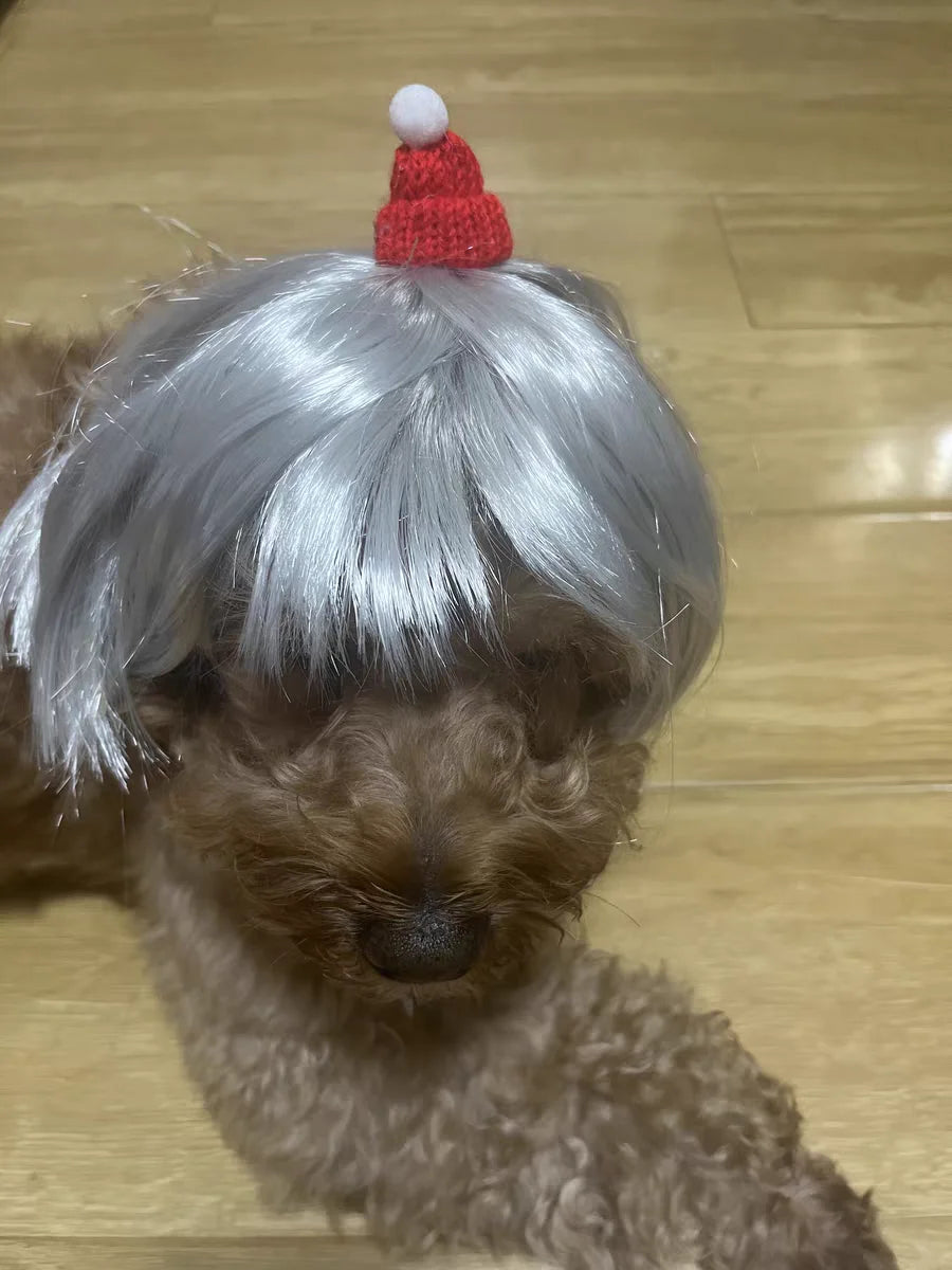 Pet Wig – Curly & Straight Hair Costume Accessory for Dogs & Cats, DIY Trimmed
