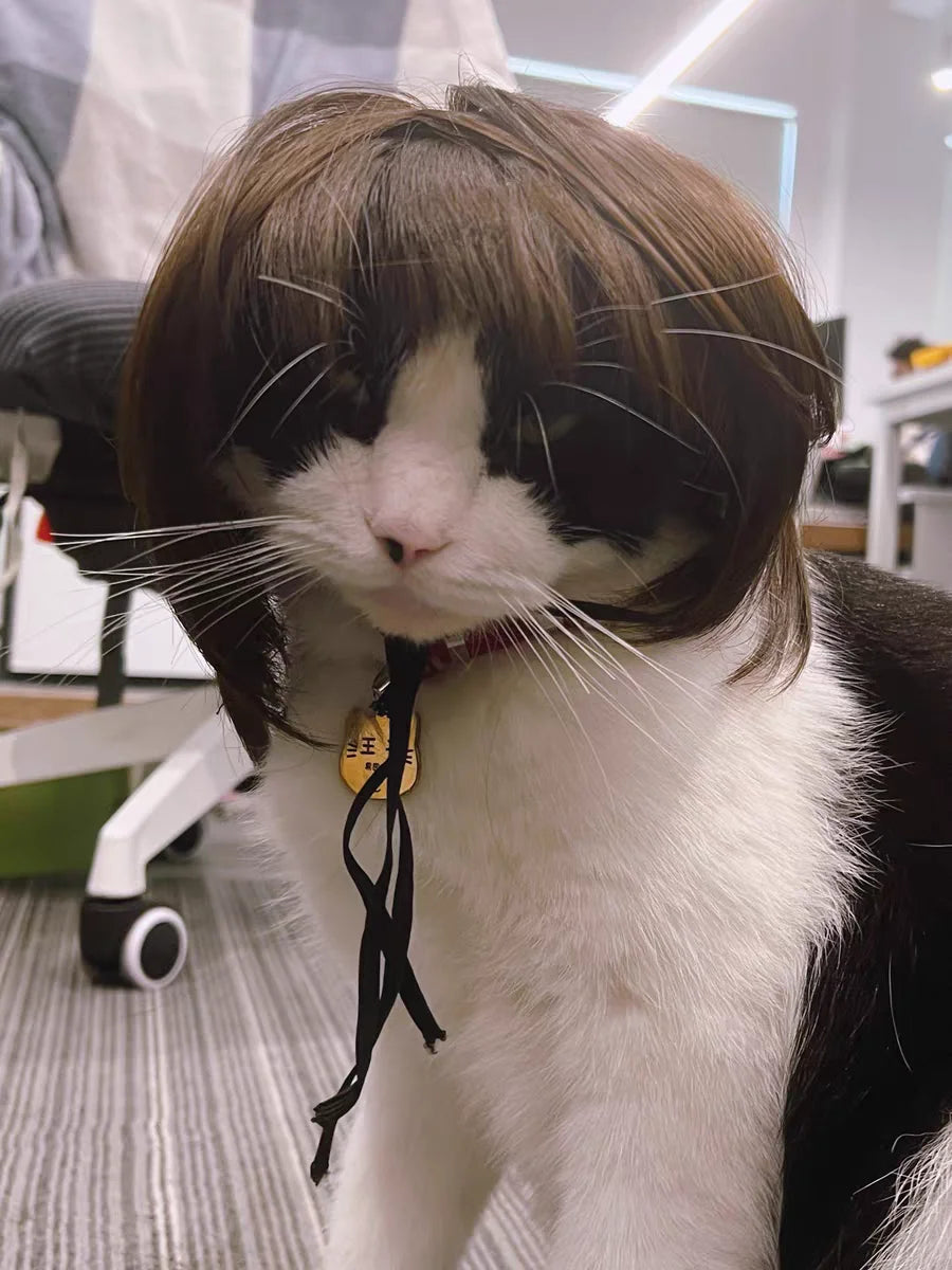Pet Wig – Curly & Straight Hair Costume Accessory for Dogs & Cats, DIY Trimmed