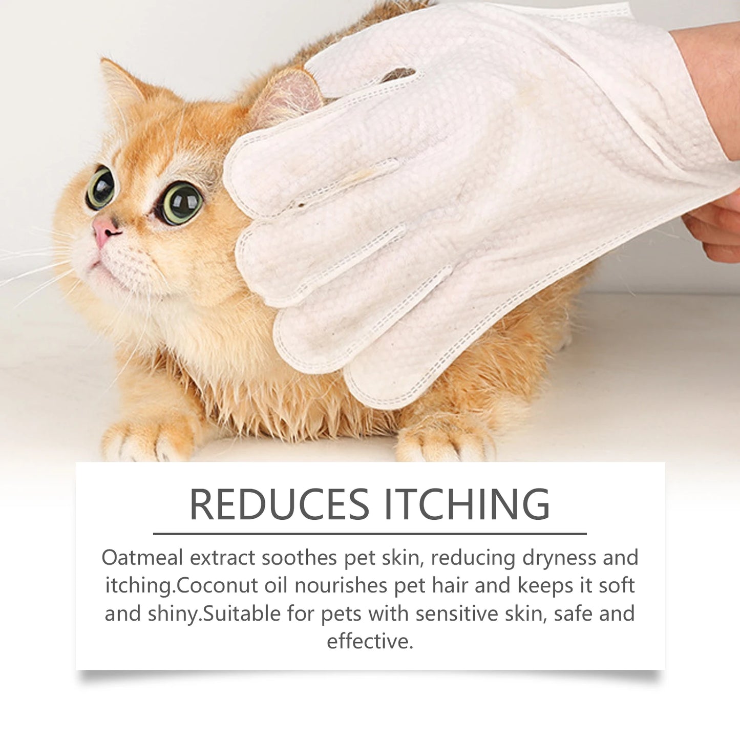 No-Rinse Pet Cleaning Gloves – Dogs & Cats, Coconut Oil & Glycerin, Disposable Wipes