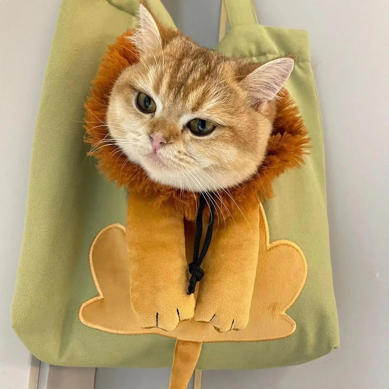 Pet Canvas Shoulder Bag Lion shaped Cat Tote Bag Comfortable Pet Tote Bag Shoulder Bag Portable Outdoor Cat Tote Bag