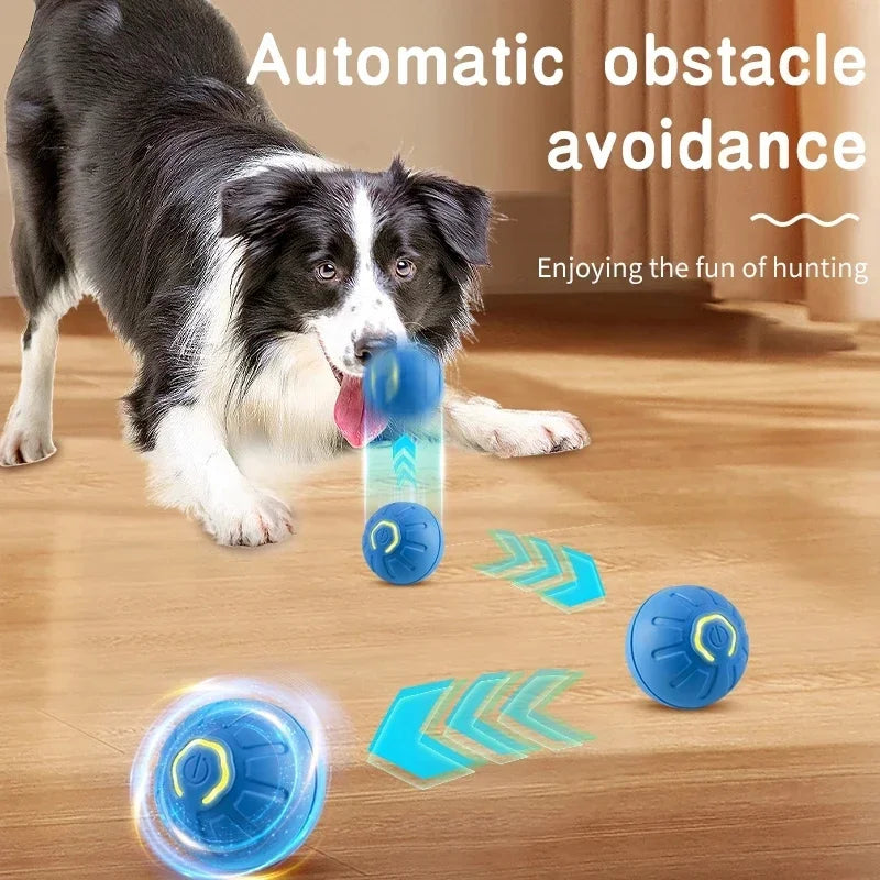 USB Rechargeable Interactive Pet Ball, Automatic Moving Toy for Puppies, Dogs, and Cats
