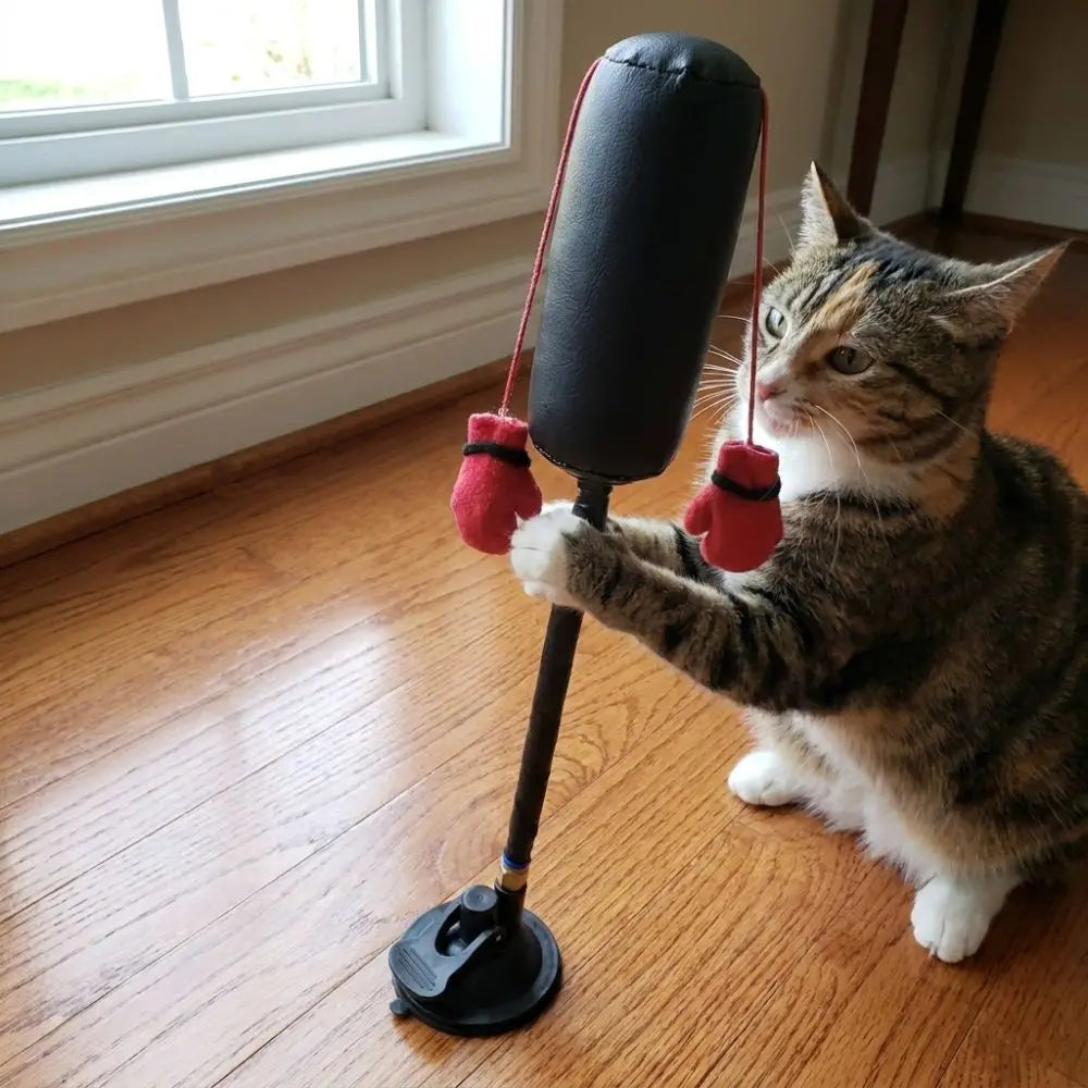 Interactive Cat Boxing Toy with Suction Cup