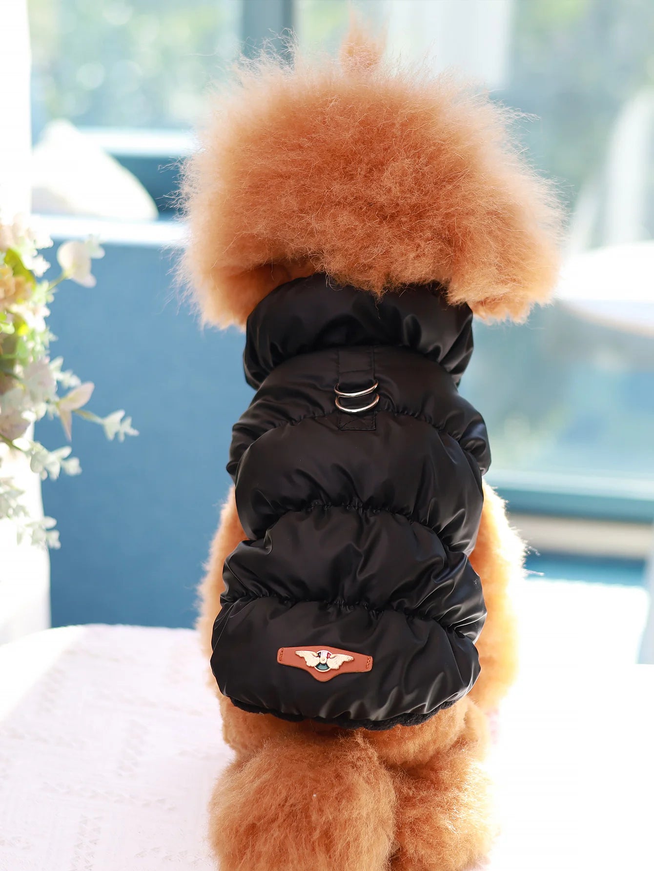 Warm Pet Dog Jacket – 3-Layer Thick Coat for Small to Medium Dogs, Autumn/Winter Outerwear