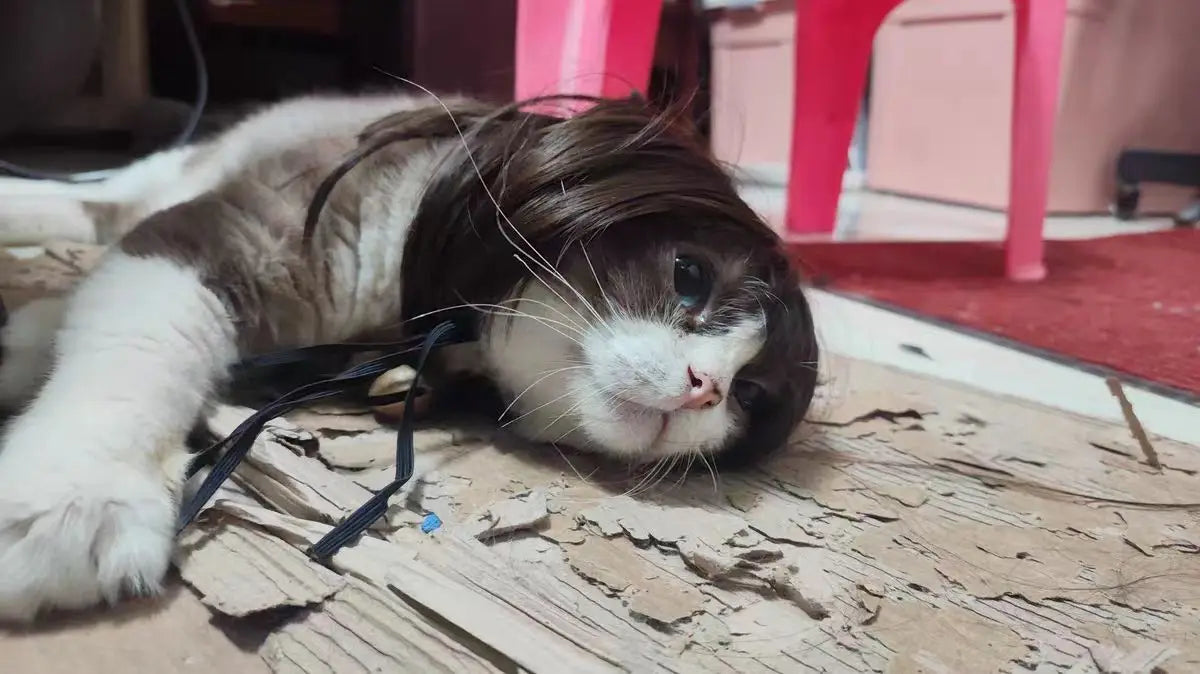 Pet Wig – Curly & Straight Hair Costume Accessory for Dogs & Cats, DIY Trimmed