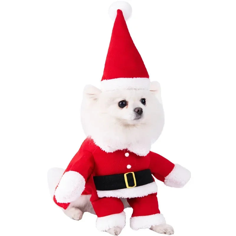 Halloween Stuffed-Body Pet Costume with Wig Hat