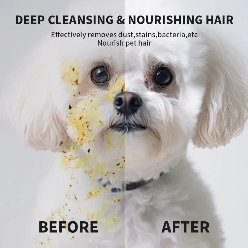 6PCS Pet Cleaning Gloves – Wash-Free Deodorizing Wipes for Cats & Dogs, Disposable Dry Bath Grooming Gloves