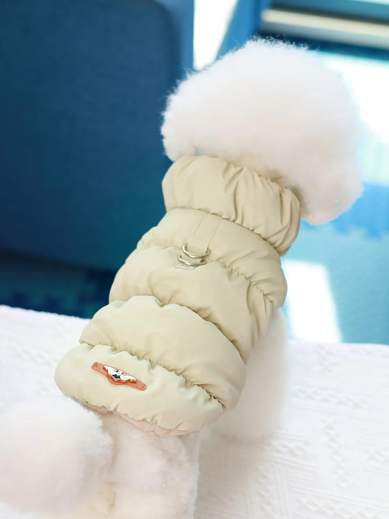 Warm Pet Dog Jacket – 3-Layer Thick Coat for Small to Medium Dogs, Autumn/Winter Outerwear