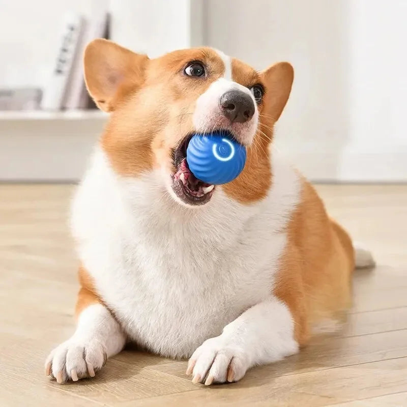 USB Rechargeable Interactive Pet Ball, Automatic Moving Toy for Puppies, Dogs, and Cats