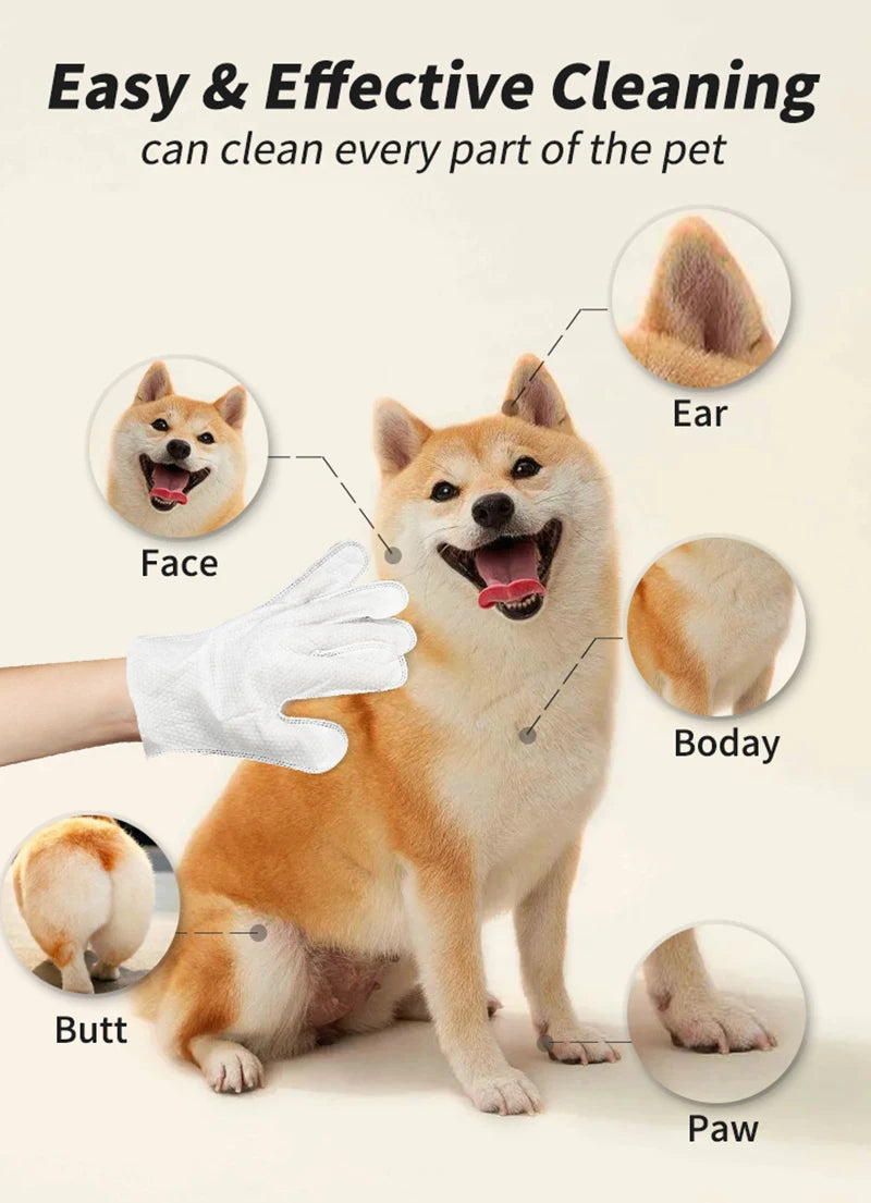6PCS Pet Cleaning Gloves – Wash-Free Deodorizing Wipes for Cats & Dogs, Disposable Dry Bath Grooming Gloves