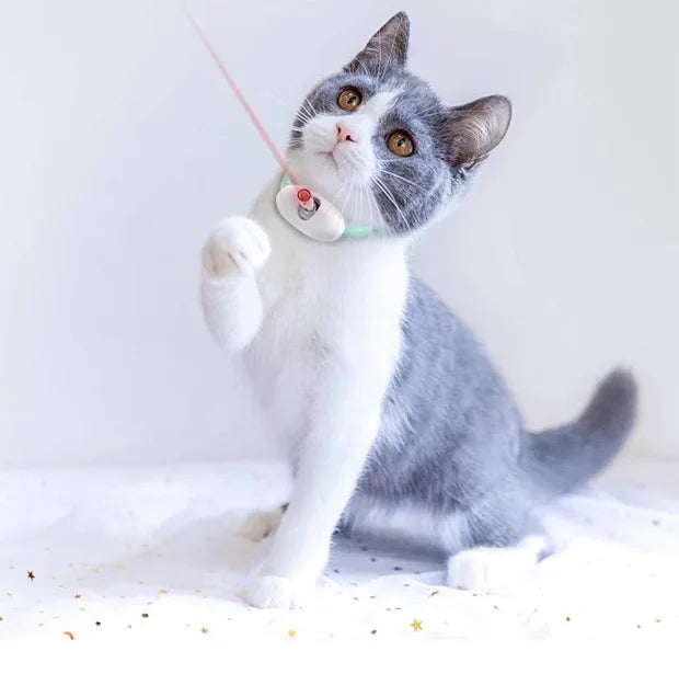 Smart Laser Tease Cat Collar – USB Rechargeable, Automatic Interactive Toy for Kittens & Cats