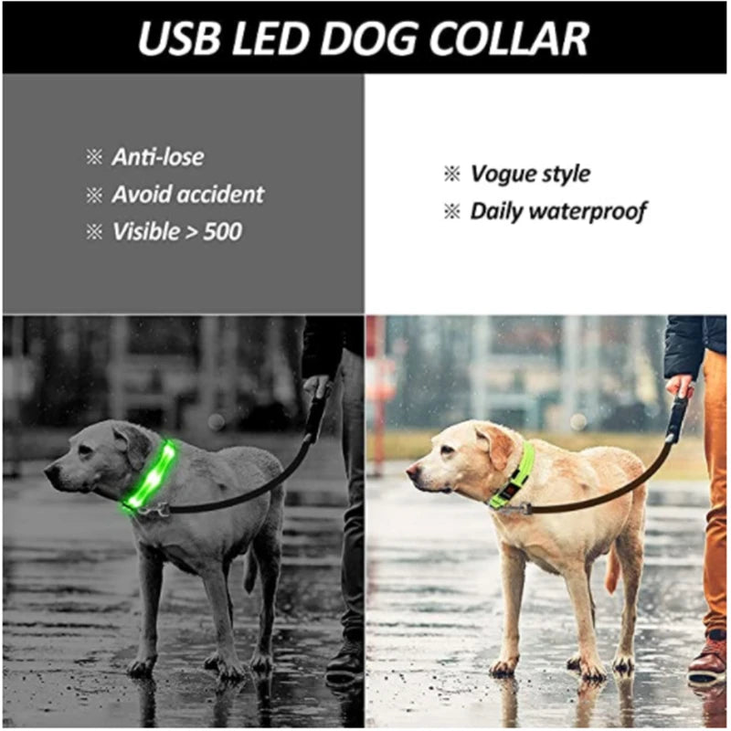 LED Glowing Dog Collar – Adjustable Rechargeable Flashing Luminous Night Safety Collar for Small Dogs