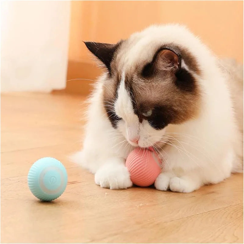 USB Rechargeable Interactive Pet Ball, Automatic Moving Toy for Puppies, Dogs, and Cats