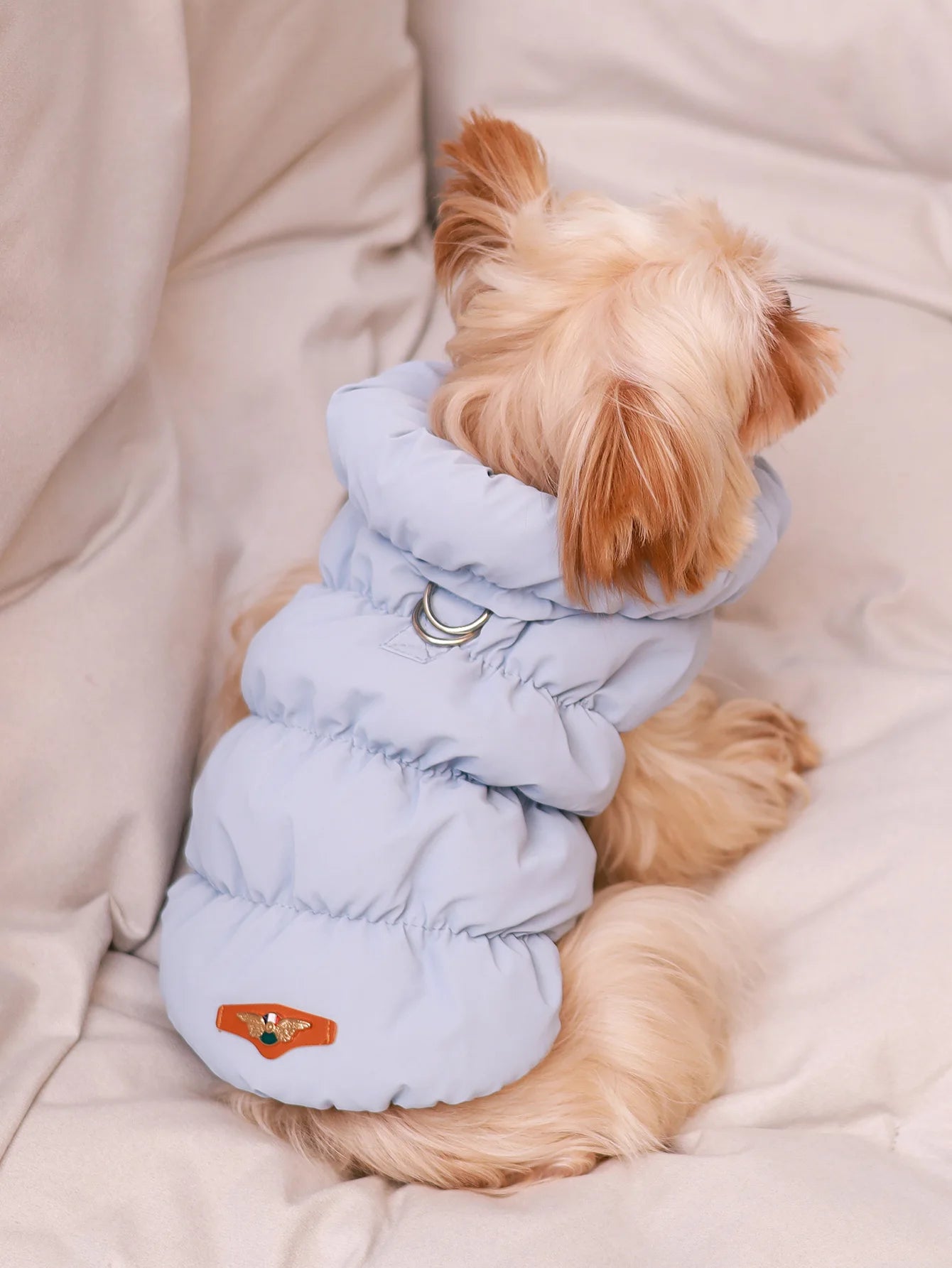 Warm Pet Dog Jacket – 3-Layer Thick Coat for Small to Medium Dogs, Autumn/Winter Outerwear
