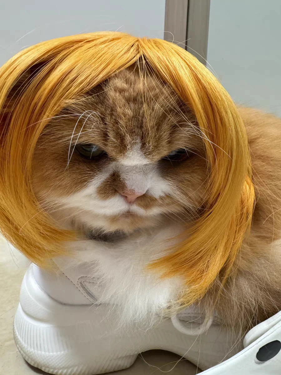Pet Wig – Curly & Straight Hair Costume Accessory for Dogs & Cats, DIY Trimmed