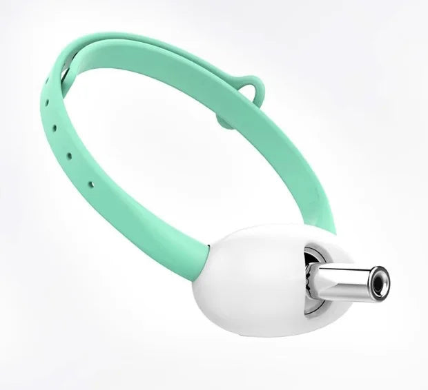 Smart Laser Tease Cat Collar – USB Rechargeable, Automatic Interactive Toy for Kittens & Cats