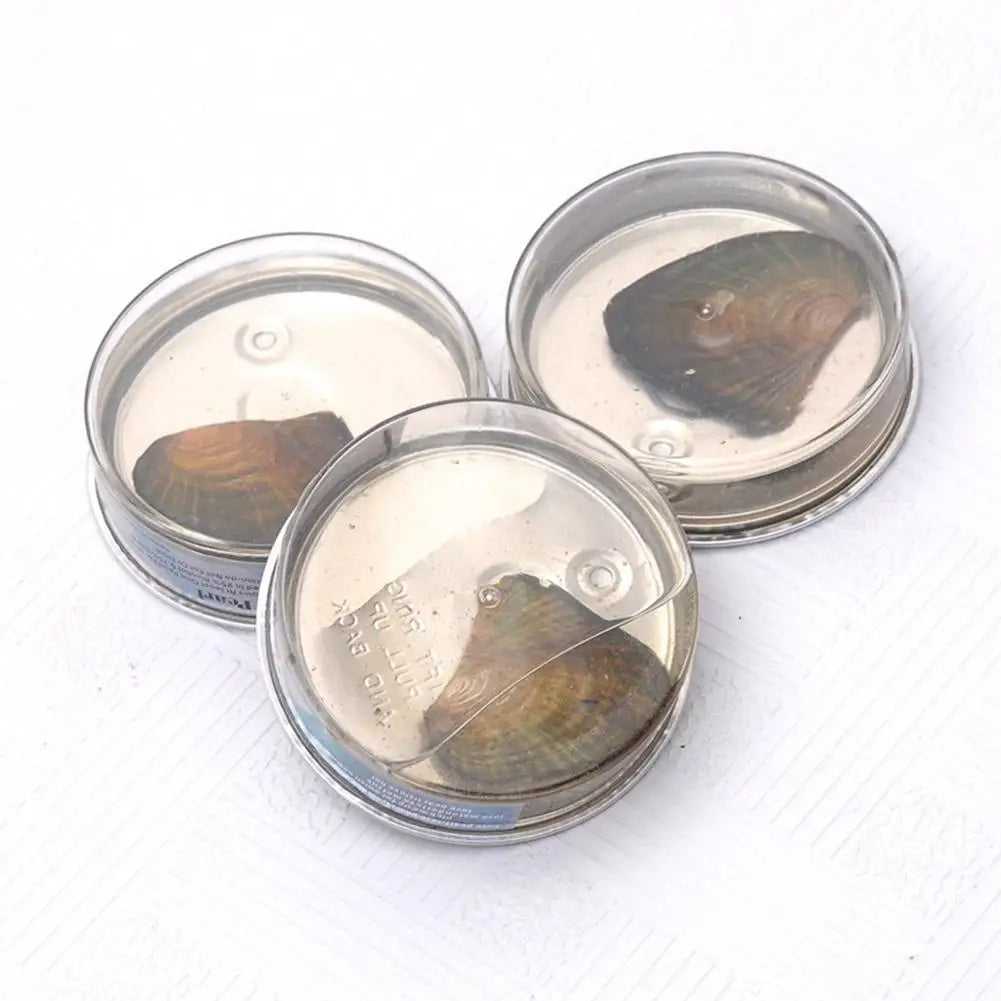 Wish Pearl Oyster DIY Necklace Kit with Cultured Pearl Jewelry Gift Set