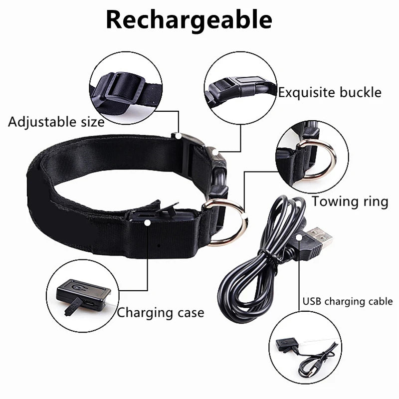 LED Glowing Dog Collar – Adjustable Rechargeable Flashing Luminous Night Safety Collar for Small Dogs