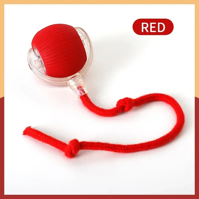 Cat Interactive Ball Toy - Automatic Rolling Ball with Faux Tail, Rechargeable Smart Pet Electric Toy for Dog & Cat Training, Imitates Mouse Movement