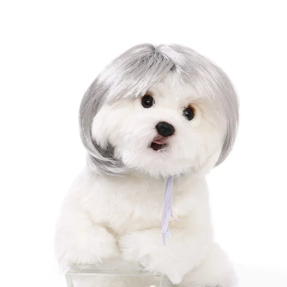 Pet Wig – Curly & Straight Hair Costume Accessory for Dogs & Cats, DIY Trimmed